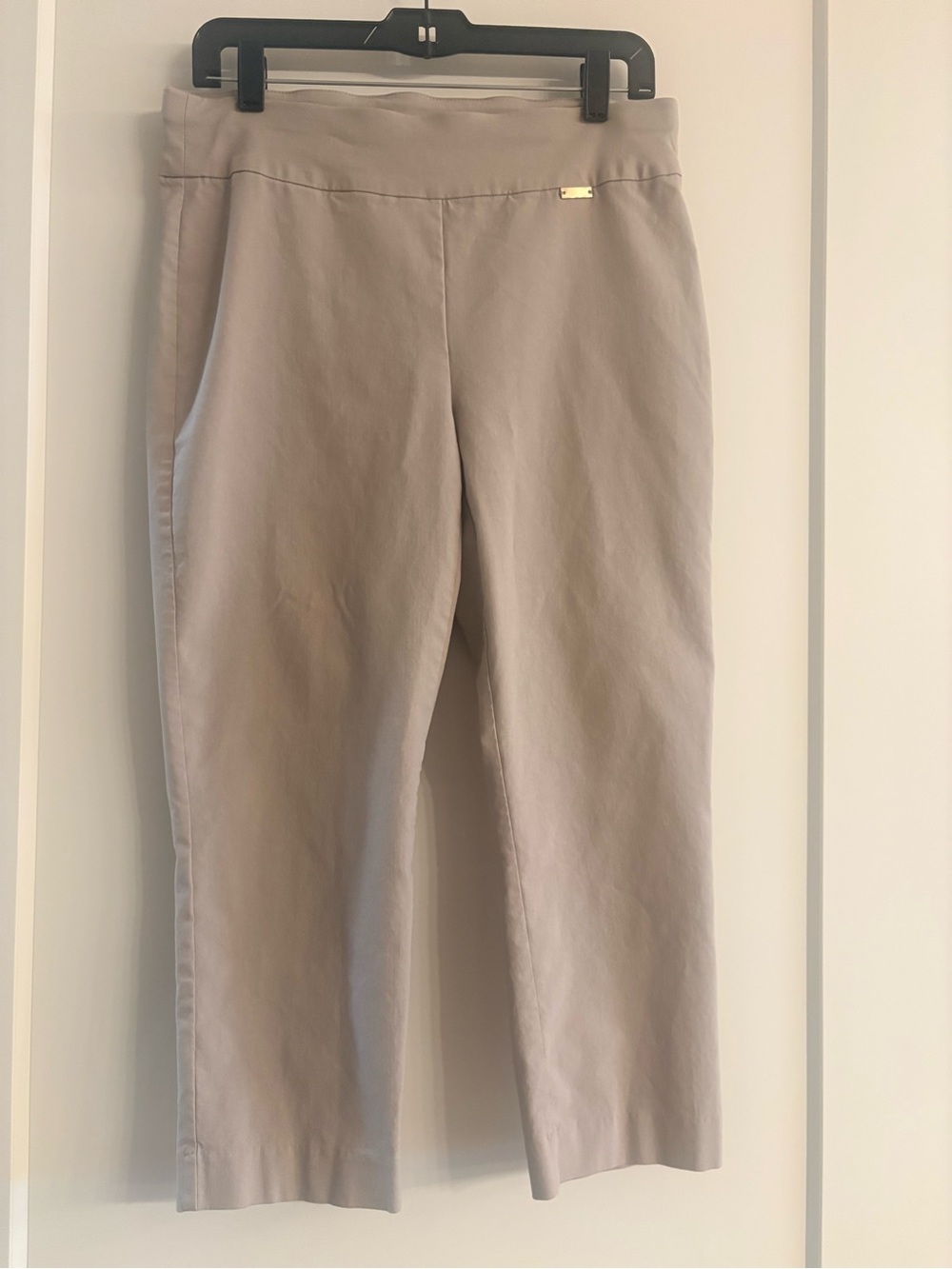 INC International Concepts Light Taupe Pull-On Pants size 10